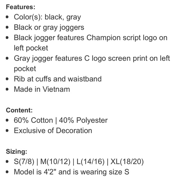 Champion Youth Jogger, Gray, size: L (14-16) - Picture 4 of 6